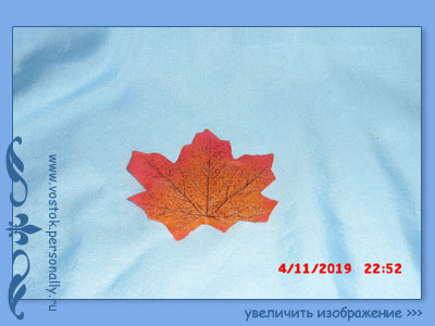 декор